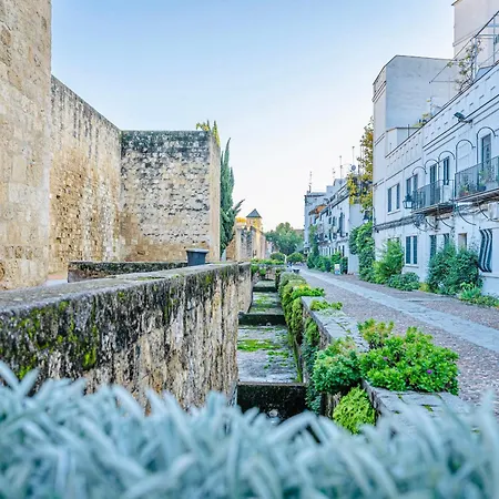 La Mezquita-catedral *